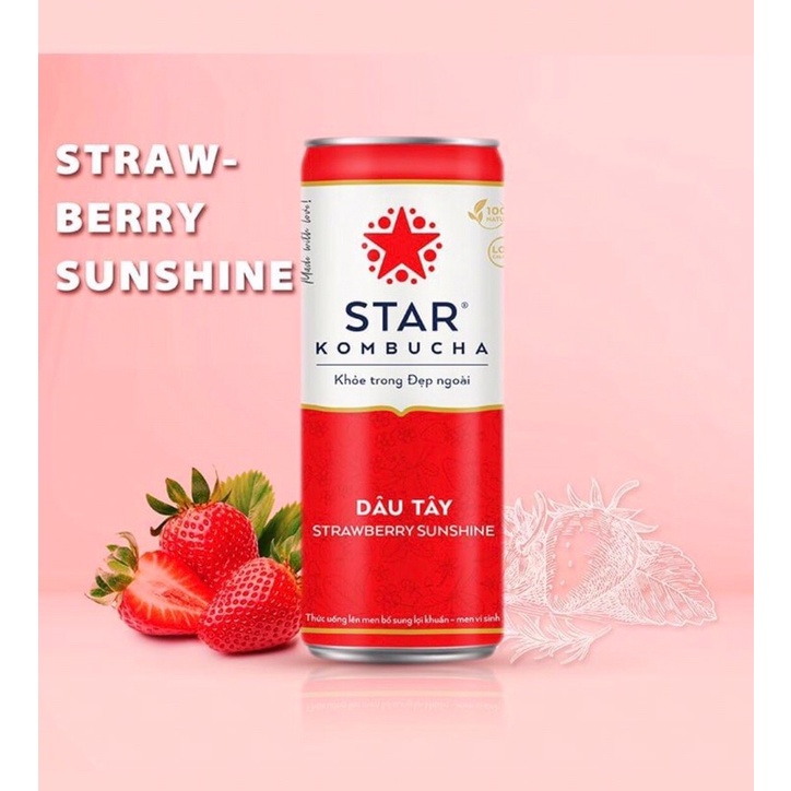 [FREESHIP] Trà Star Kombucha 250ml
