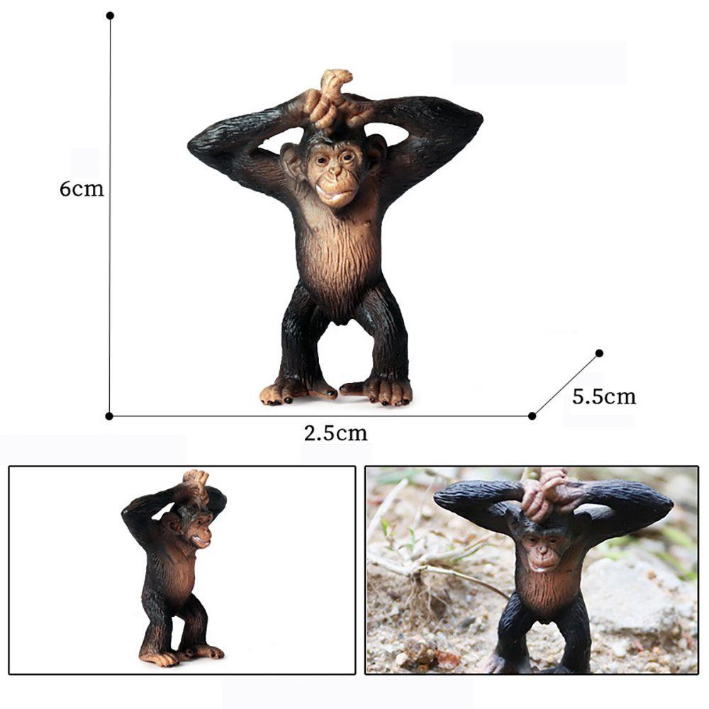 Luol Mô Hình Chimpanzee Sống Động Như Thật Khoa Học &amp; Tự Nhiên Hoang Dã Giáo Dục Cho Bé