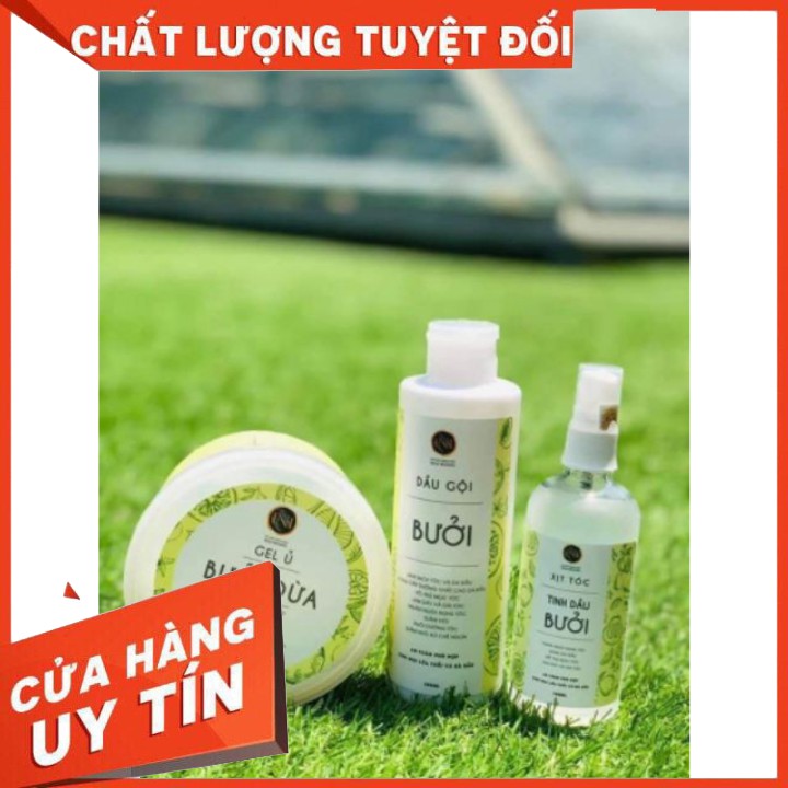 COMBO DẦU GỘI BƯỞI+TINH DẦU BƯỞI +GEL Ủ BƯỞI DỪA NGA HOÀNG (Chuẩn hãng)