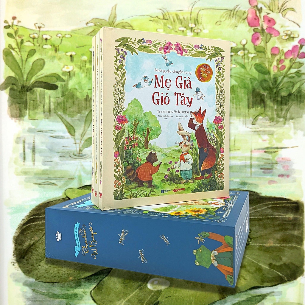 Bộ 4 cuốn Miền dâu dại