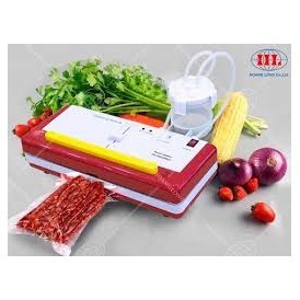 [ SEO GIẢM GIÁ ] Máy hút chân không thực phẩm DZ 300B (Tặng kèm 10 túi)