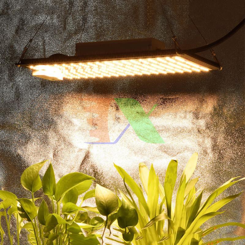 Đèn trồng cây Lượng tử QBS1000, Led grow lights chip Samsung 1000W, Đèn trồng rau trong nhà