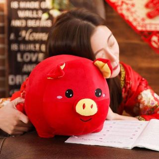 Heo May Mắn 30 cm (Đỏ)