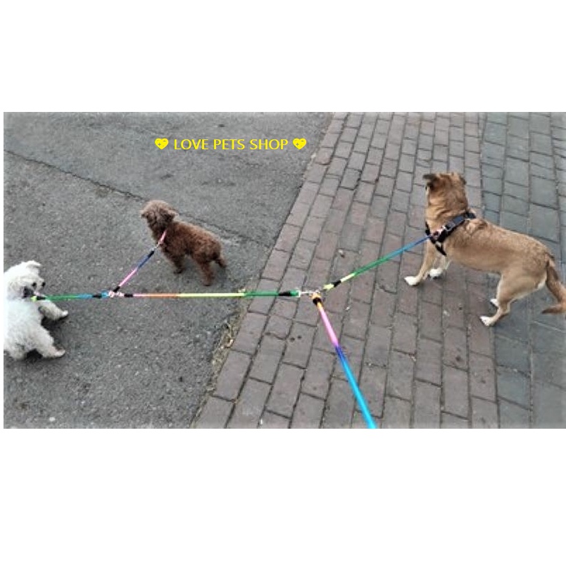 BỘ DÂY DẮT CHÓ MÈO 2 ĐẦU KÈM YẾM BẢY SẮC CẦU VỒNG - LOVE PETS SHOP