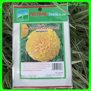 Hạt Giống Hoa Vạn thọ Lùn Vàng F1 PN-101 Phú Nông - Gói 15 -100 Hạt