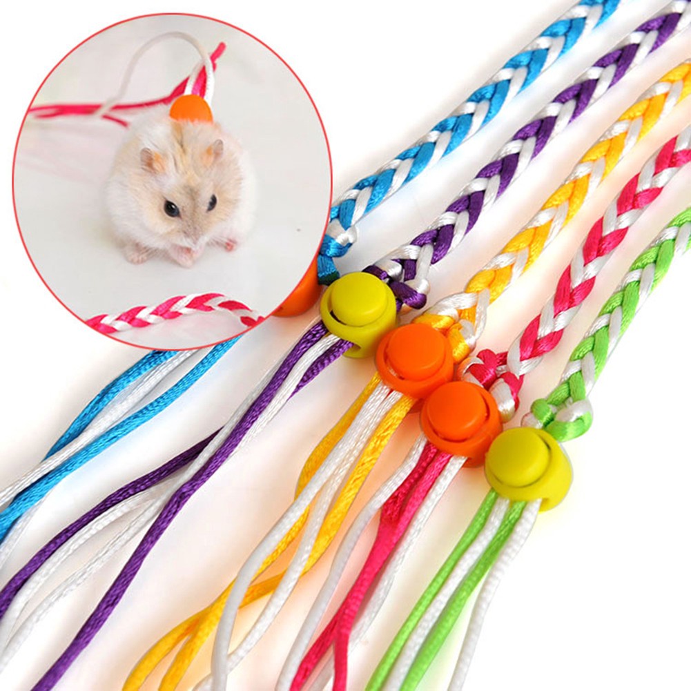 Dây dắt chuột Hamster/thỏ đi dạo chơi 1.4/2m