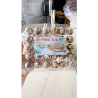 Trứng cút tươi - vỉ 30 trứng- có sẵn giao Now ngay