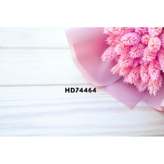 Phông nền 3D chụp ảnh