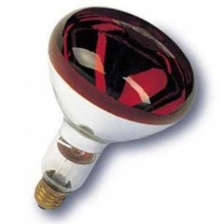 Bóng đèn hồng ngoại osram 250w - yt