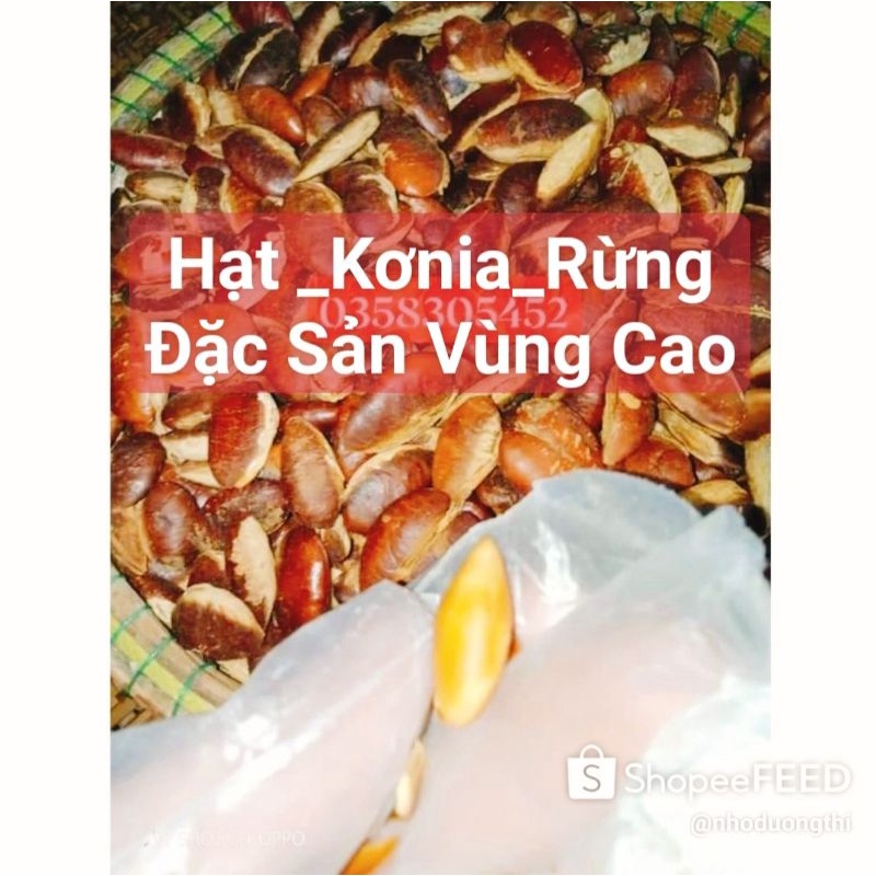 1kg Hạt konia ,hạt cày loại khô chọn l1( hàng xuất khẩu)