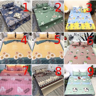 Trọn bộ chăn ga gối cotton poly
