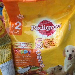 Combo 2 gói Thức ăn chó con pedigree puppyl 400 và gói 1,3kg