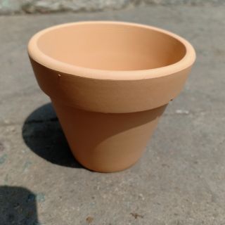 ☘️ CHẬU ĐẤT NUNG TRỒNG SEN - XƯƠNG RỒNG