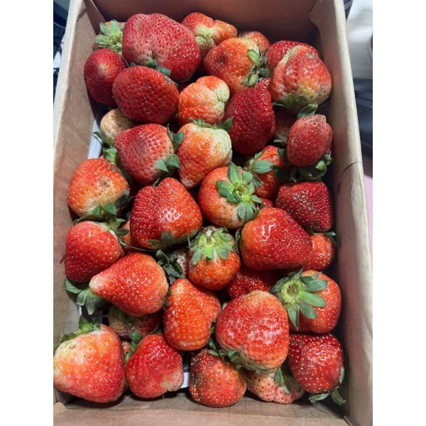 Hộp 3kg dâu tây Mỹ đá Size NHẤT nhà trồng