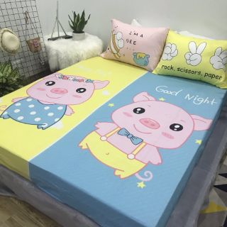 Bộ ga gối cotton 3D cho bé