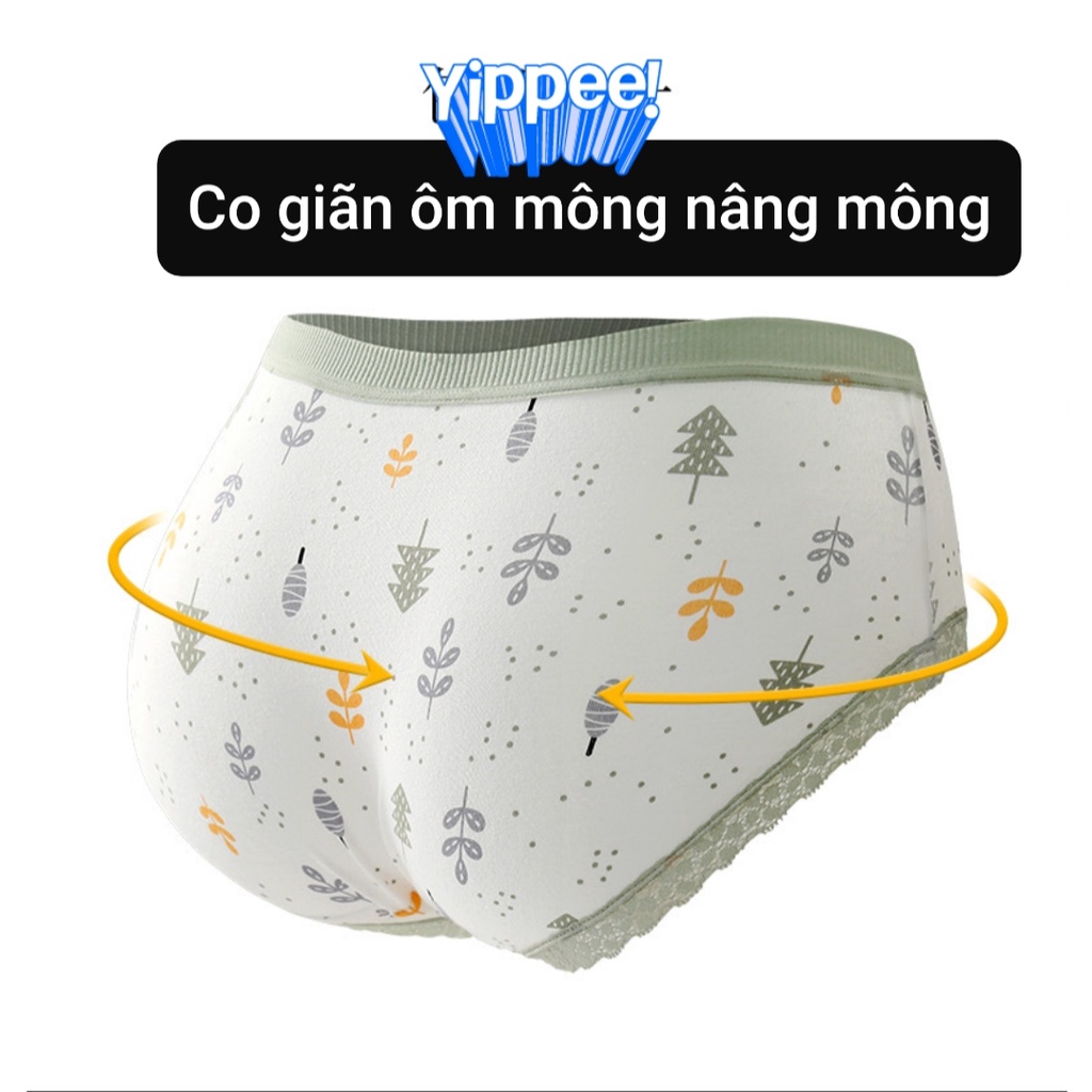 Combo 5 quần lót nữ, chip cho tuổi teen dễ thương cotton kháng khuẩn thông thoáng từ 35-55kg