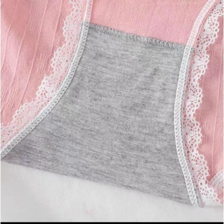 Hộp 5 Quần Cotton Viền Ren Thiên Nga Co Dãn 4 Chiều,