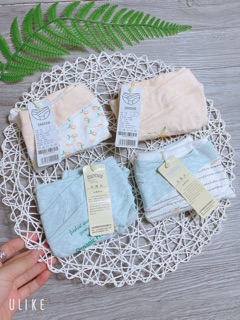 Bầu chip bầu dành cho nữ