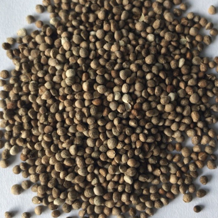 Hạt tía tô khô thượng hạng JINDO 1kg