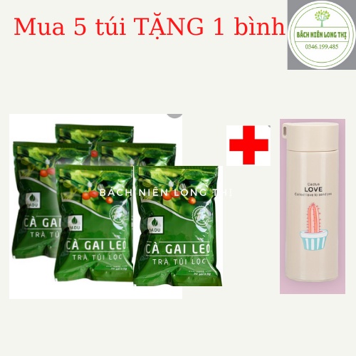 (5 TÚI TĂNG BÌNH) Trà túi lọc cà gai leo Sadu- bạn của mọi nhà (giá 1 túi)