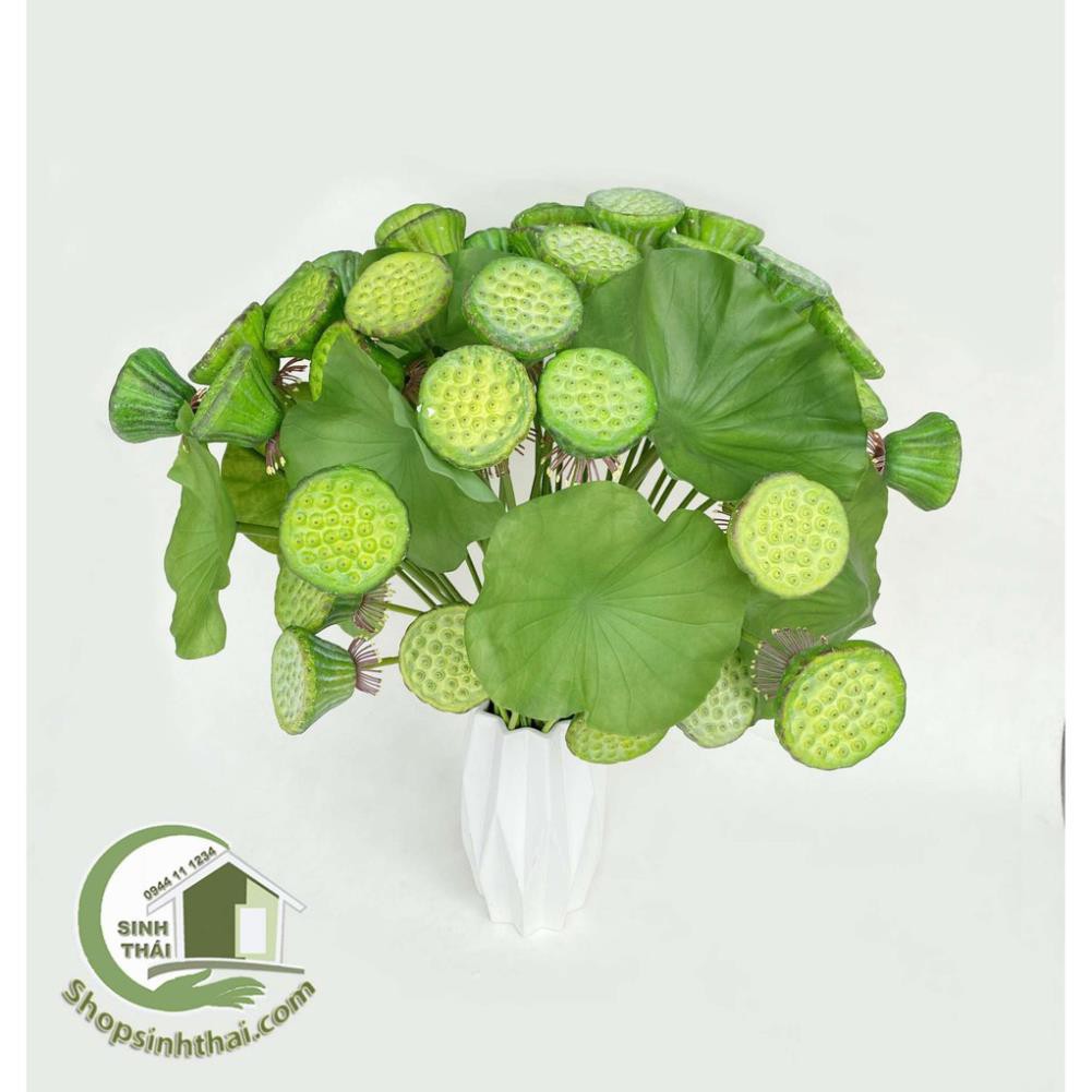 Lá sen, gương sen giả - cành gương lá sen giả cao cấp Thái Lan -  chọn cành