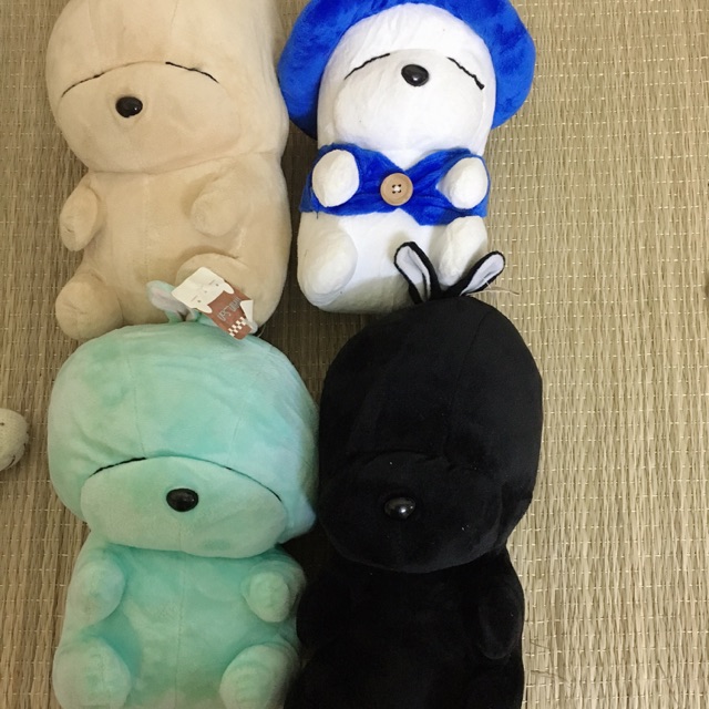 Gấu của c Oanh