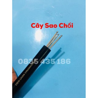 CÂY SAO CHỔI (Dò 3 Chấu) - Dụng Cụ Diện Chẩn