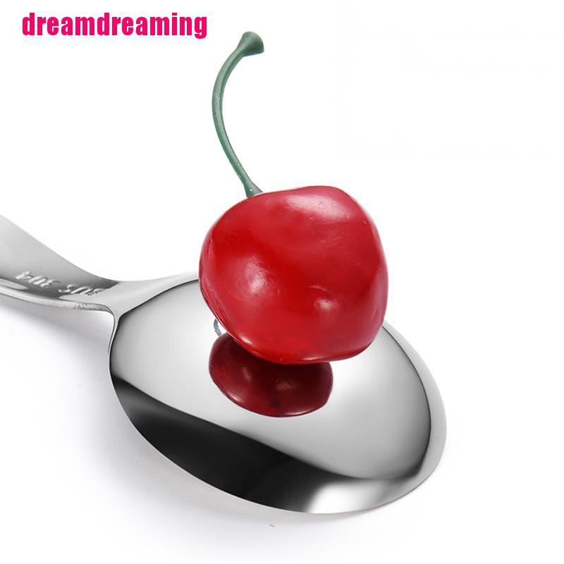 Muỗng Múc Gia Vị Bằng Thép Không Gỉ Tiện Lợi
