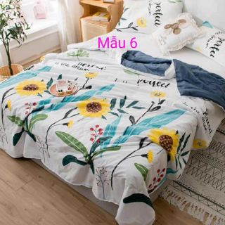 Combo chăn hè phượng vy