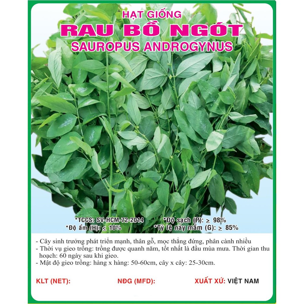 Hạt giống rau bồ ngót VTS35 | Vạn Tín Store