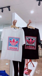 Combo áo phông( fb xuân anh)