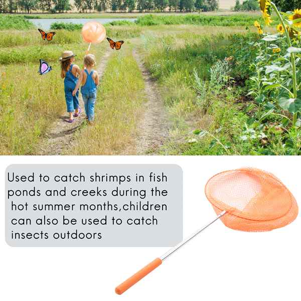 Vợt lưới bắt bướm bằng thép không gỉ có thể thu gọn tiện dụng