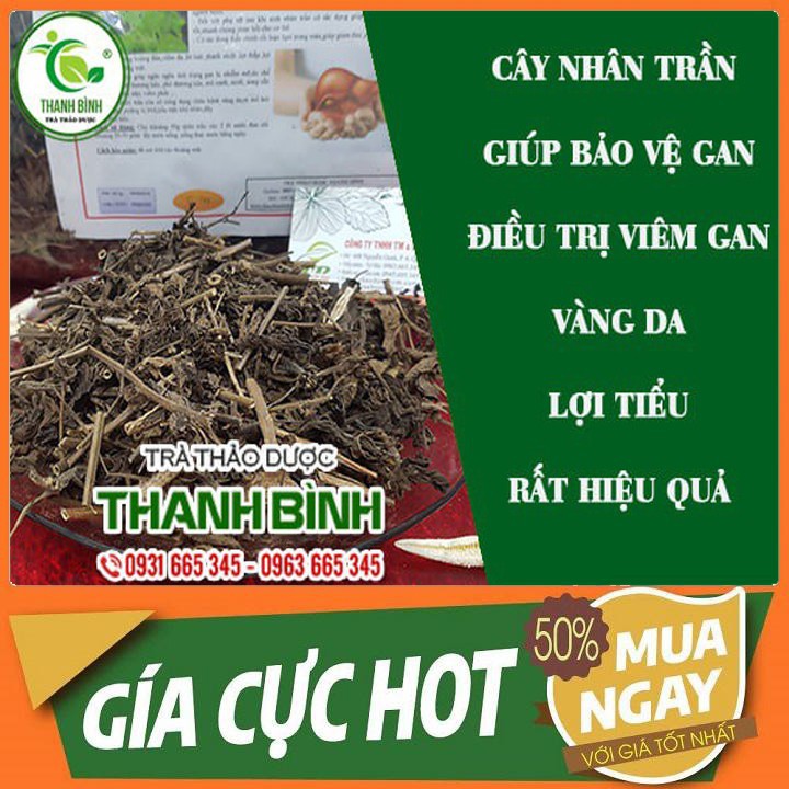 Cây Nhân Trần 500g - Hàng Loại 1 - Thảo Dược Thanh Bình