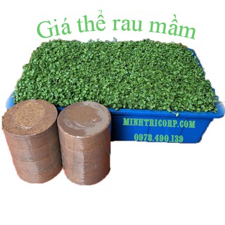 THÙNG 24 VIÊN GIÁ THỂ MỤN DỪA - TRỒNG RAU MẦM