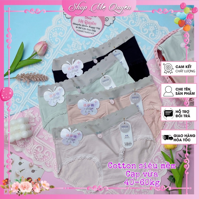 Quần lót cotton nữ cạp vừa mềm mại , co dãn kháng khuẩn thoáng mát tôn dáng đính nơ xinh