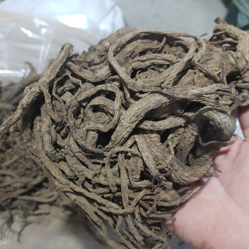 ĐỘC HOẠT GIÁ SỈ, nguyên củ (giá /1kg, giá giảm theo số lượng) - Tuệ Minh