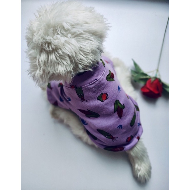 Áo thun mùa hè hoạ tiết trái bắp tím dành cho thú cưng, Quần áo chó mèo LaLi Ptfashion