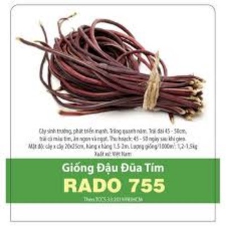 HẠT GIỐNG ĐẬU ĐŨA TÍM RD755