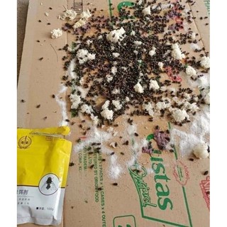 Diệt ruồi muỗi kiến gián (100g/gói)