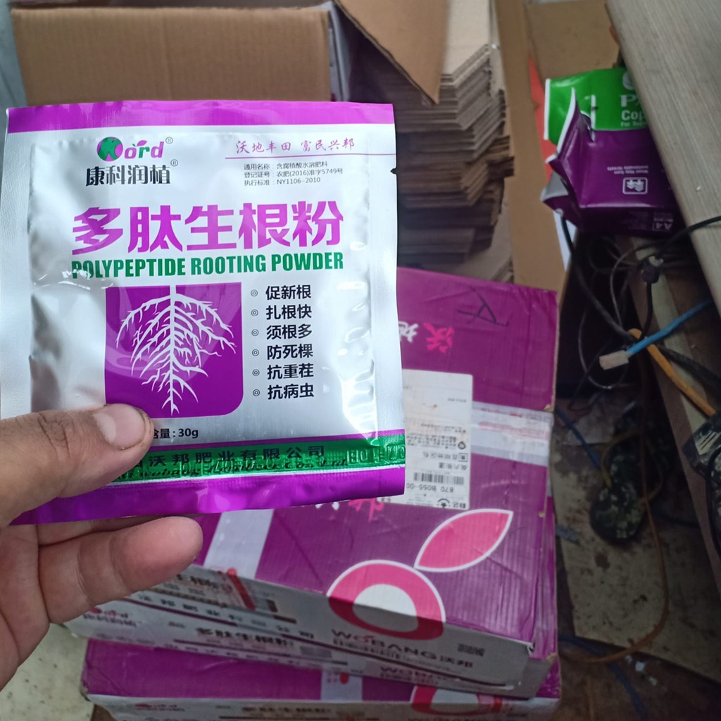 KORD-Bột kích rễ hàng nội địa Trung Quốc Polypeptide Rooting Powder gói 30gr, chất lượng vượt trội
