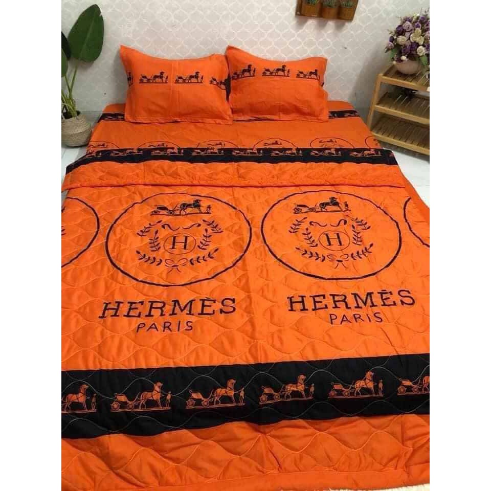 bộ ga gối và chăn hè tặng kèm vỏ ôm cùng mẫu (ib chọn mẫu)