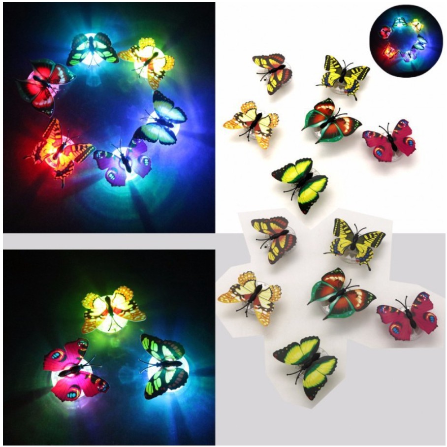 Đèn led hình bướm mẫu SS020 nhiều màu sắc đẹp mắt
