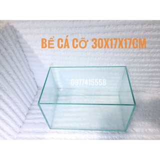 🐬 Bể cá cảnh cỡ 30*17*17cm - bể mini để bàn giá rẻ ( tặng thức ăn cá )
