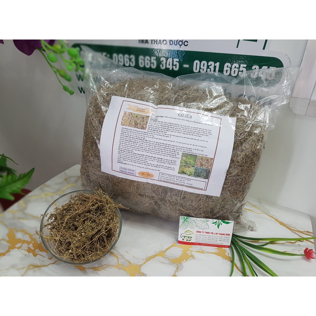 Cây Cỏ Sữa 500g - Hàng Sấy Khô Đạt Loại Cao Cấp