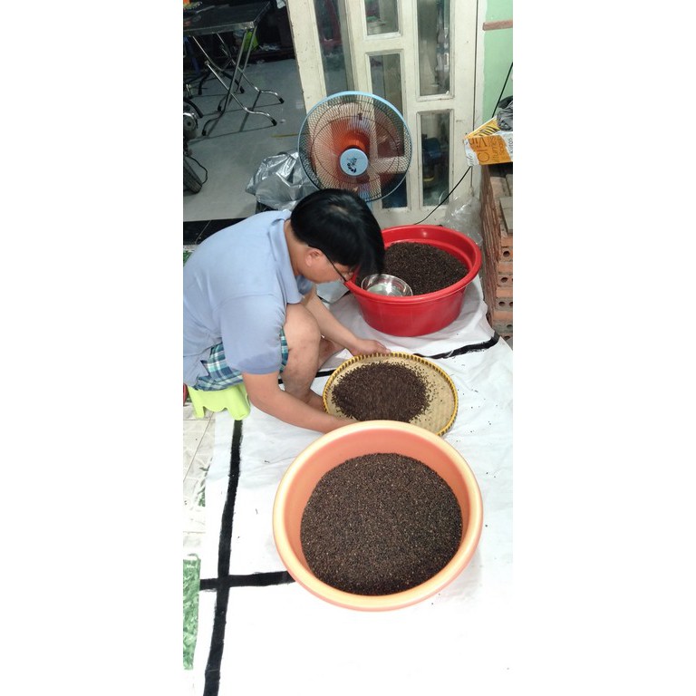 1KG Hạt tiêu đen – Tiêu nhà trồng Đăk Lăk phơi khô làm sạch