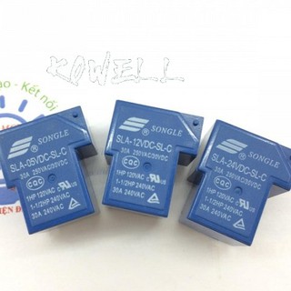 Bộ 10 role máy hàn 24V 30A SONGLE Linh kiện điện tử