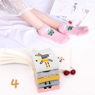 Set 5 đôi tất nữ cổ vừa (7 mẫu lựa chọn)