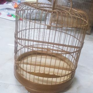 Khuyên sz 24
