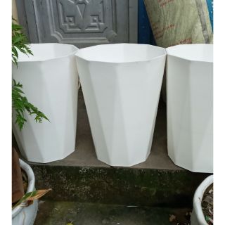 5 chậu nhựa 40cm rộng 30cm cao cấp