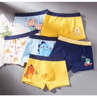 Set 6 quần chip đùi cotton cho bé trai, quần lót bé trai size 9kg-45kg